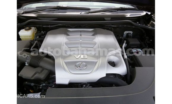 Buy Import Lexus LX Blue Car in Import - Dubai in Abaco Buy Import Lexus LX Blue Car in Import - Dubai in Abaco